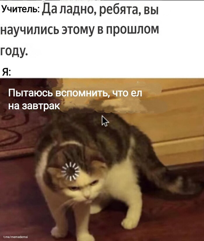      DDR2 ,   , , , , , , IT , Telegram ()