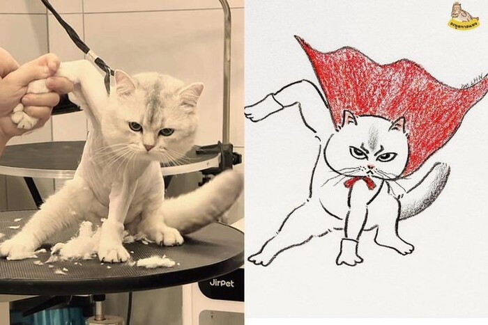 :  ". ()"  7703380158