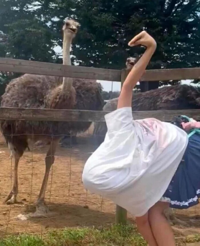 ������ � ���������� ��������