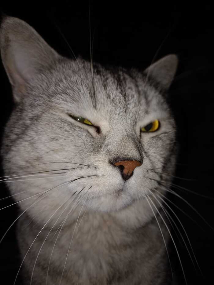 Подозрительно это всё...