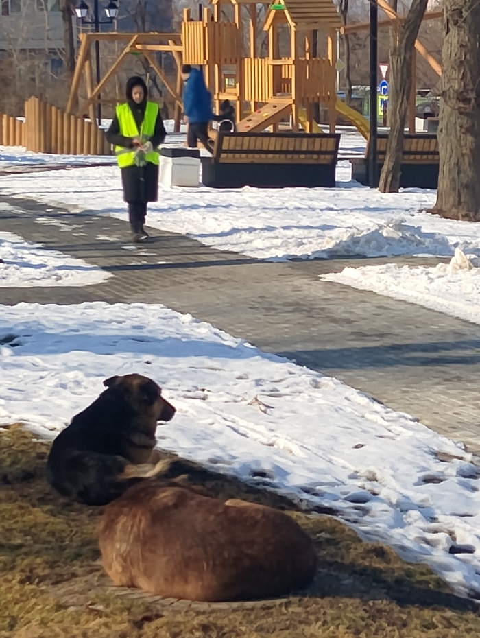 Фото площадки(((