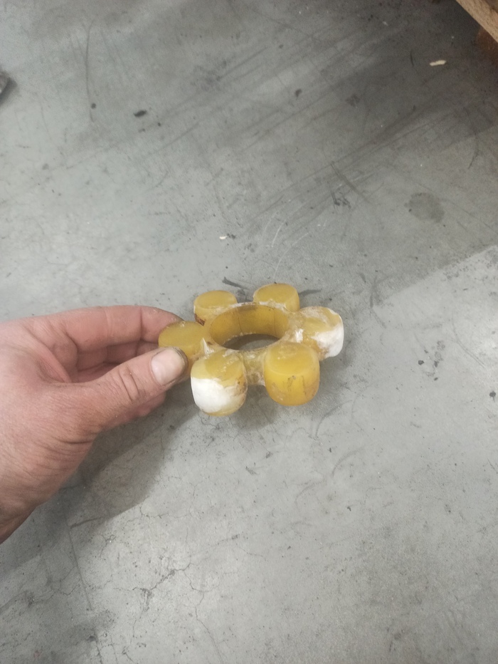 "��������" ������ �����