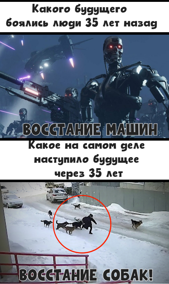        ,  ,  ,  , , , ,  ,   , 