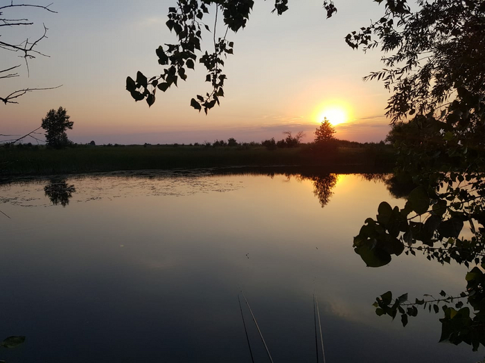 �����: �������