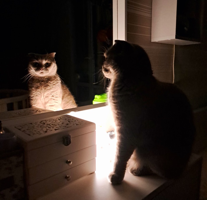    :    , ,  ,  ,   