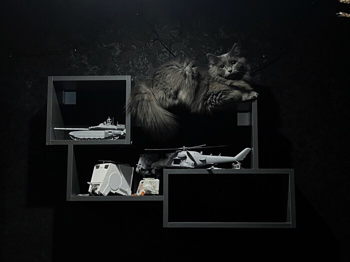 Ответ на пост «Конкурс: лучший кот Пикабу»