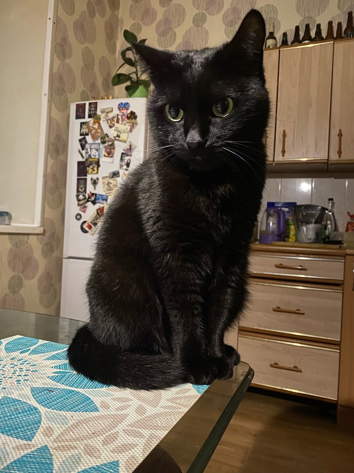 На самом деле он сладкая булочка.