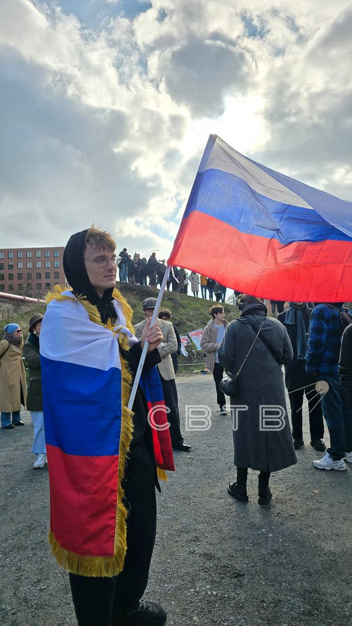 Наш котослон!