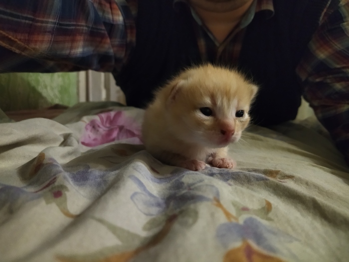 А вот таким он был, когда я впервые его увидел.