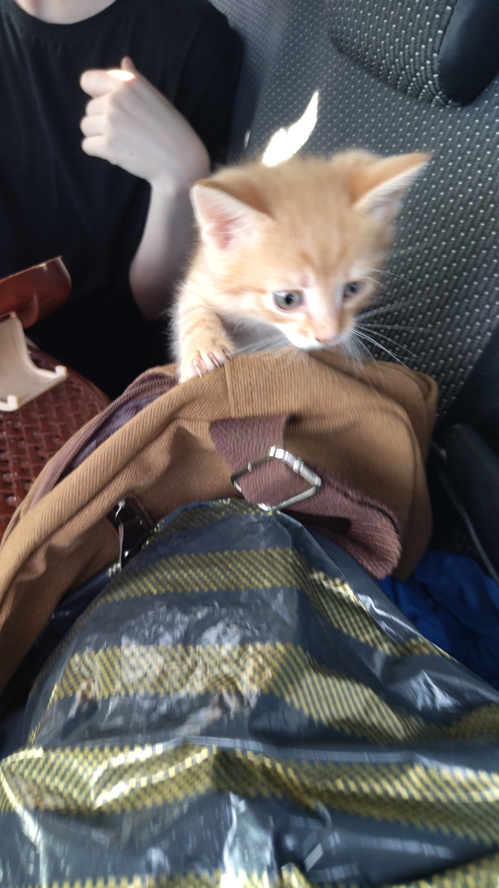 Едем в новый дом