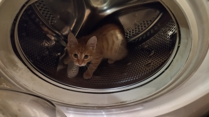 Исследователь