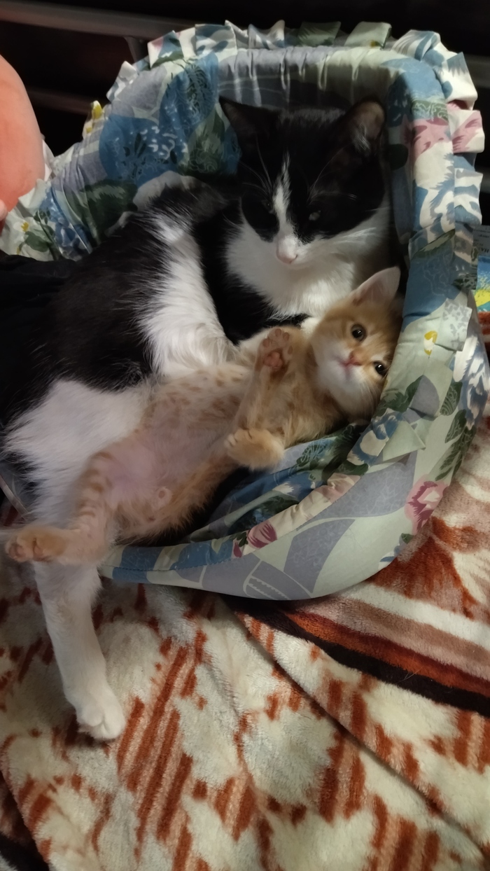 С новым другом