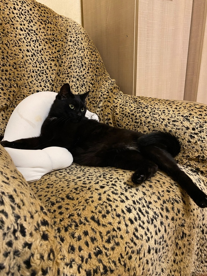 понаблюдать