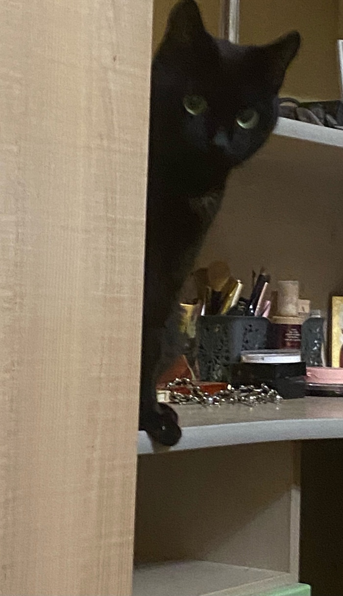 "А что это вы тут делаете?"