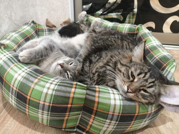    :    , , ,  , ,  , 