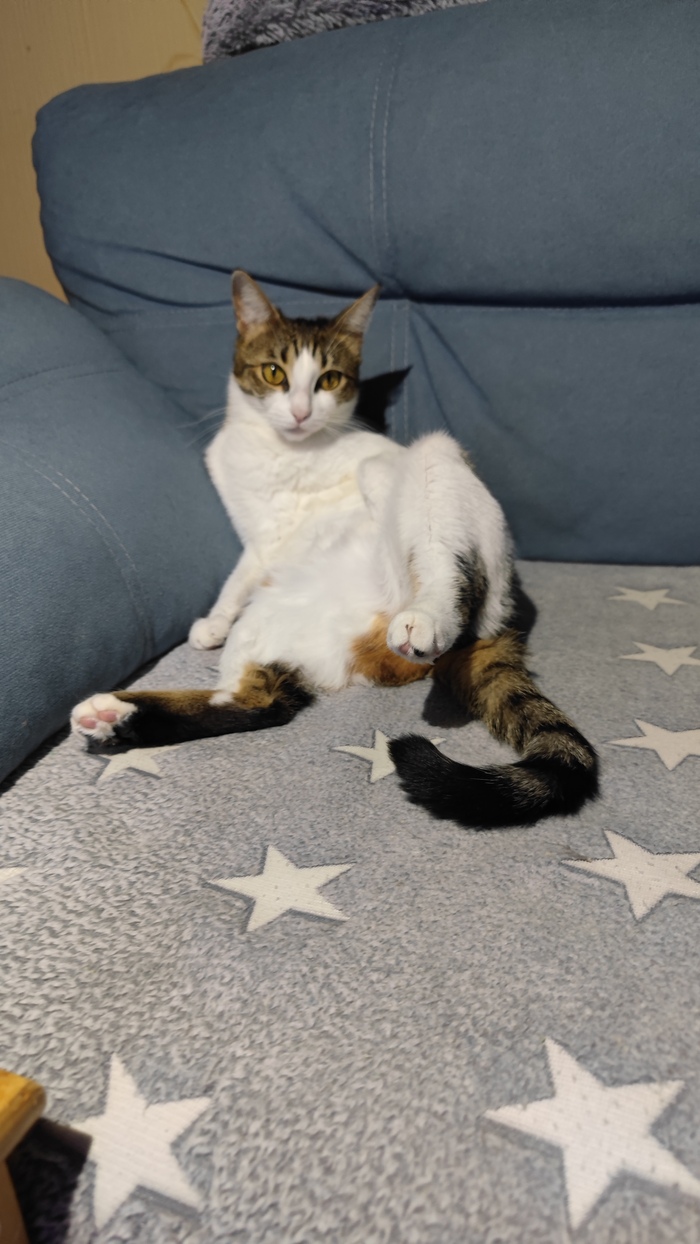    :    , , ,  , ,  ,   , 