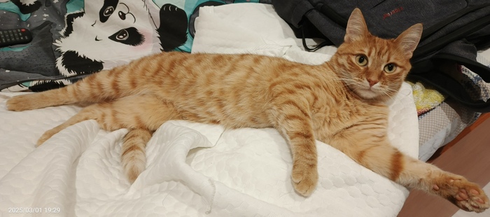 Через 8 дней ему будет 3 года