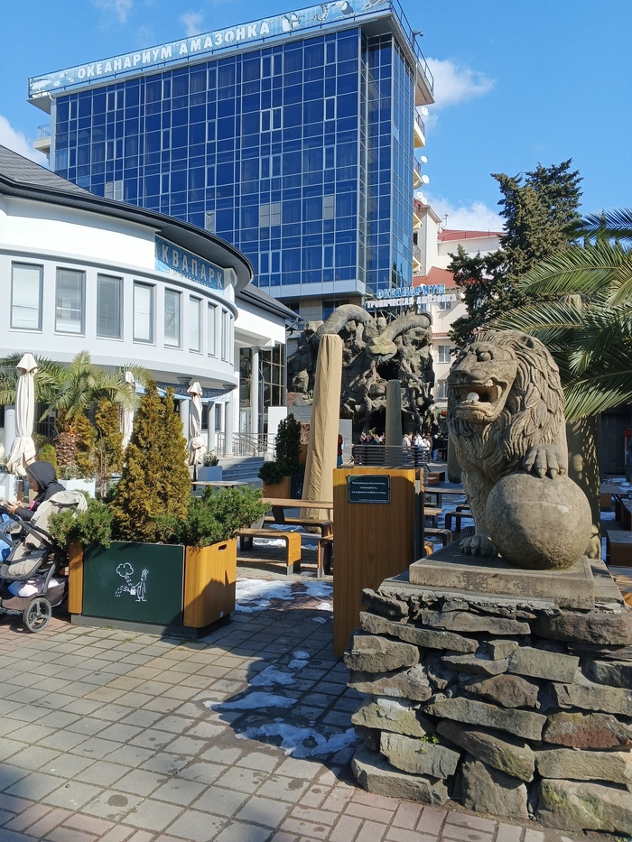 Океанариум.