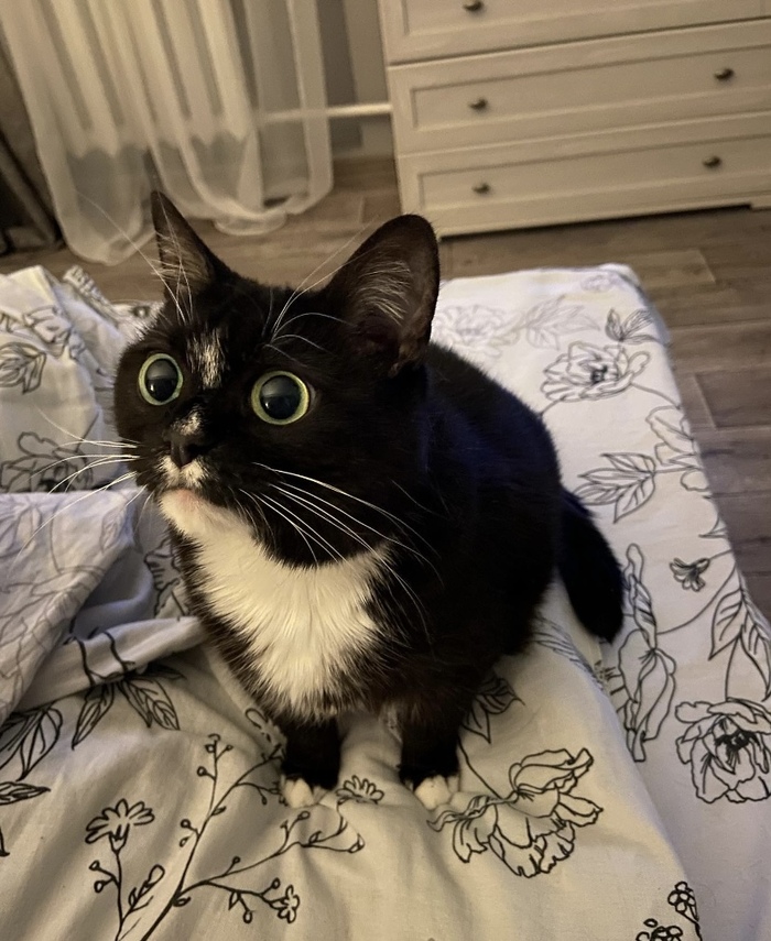    :    , , ,  , ,  ,   