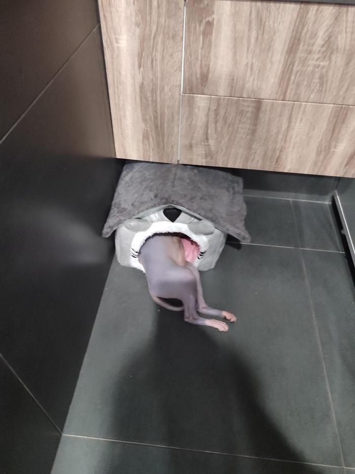 ���� ����������� �� �����. 