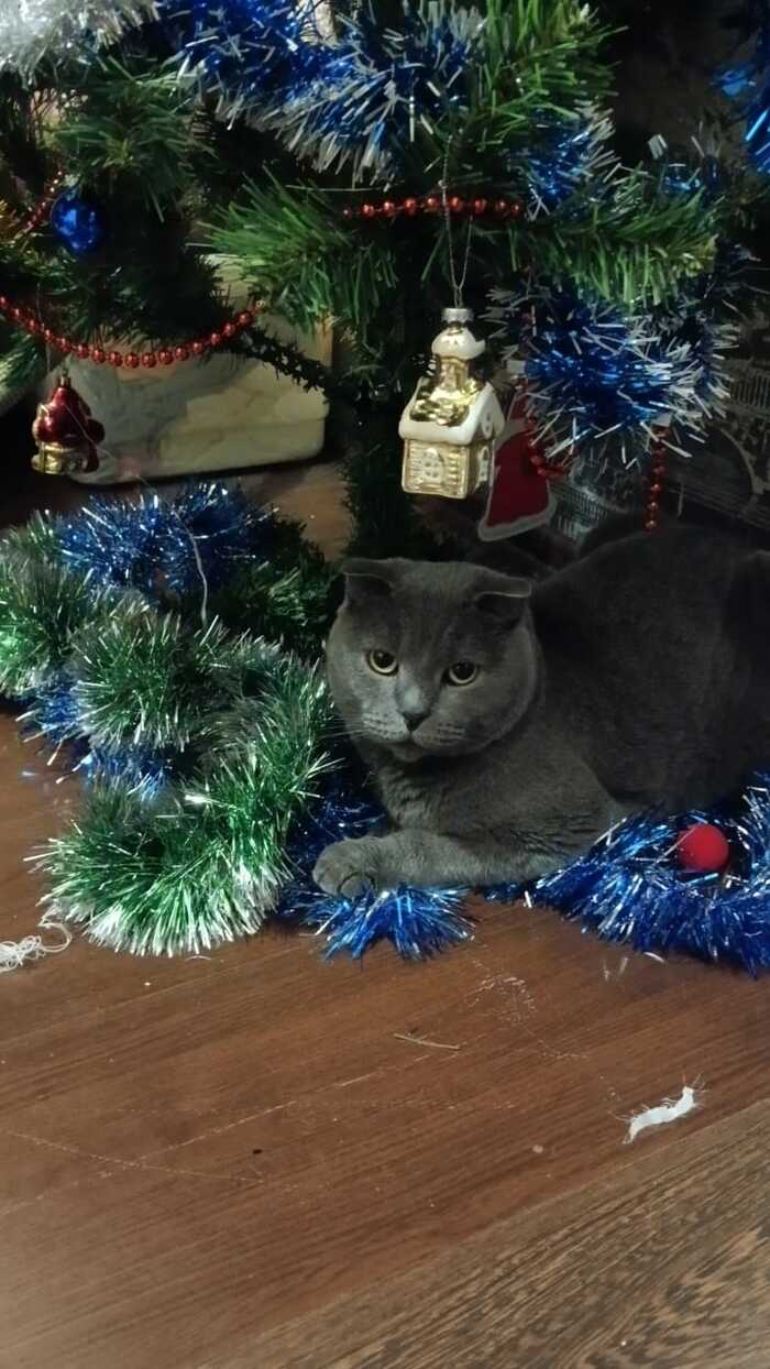 ����� �� ���� ��������: ������ ��� ������