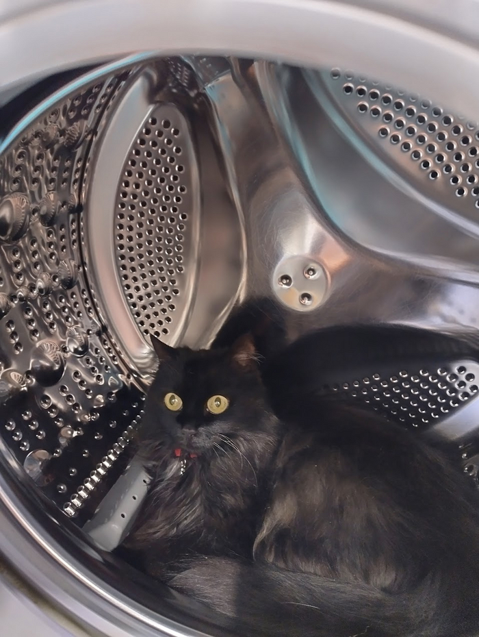 ����� �� ���� ��������: ������ ��� ������