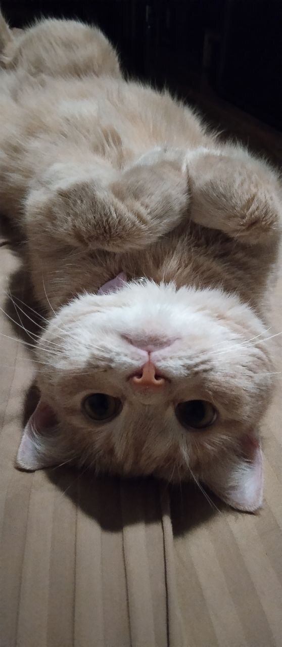    :    , , ,  , ,  ,   