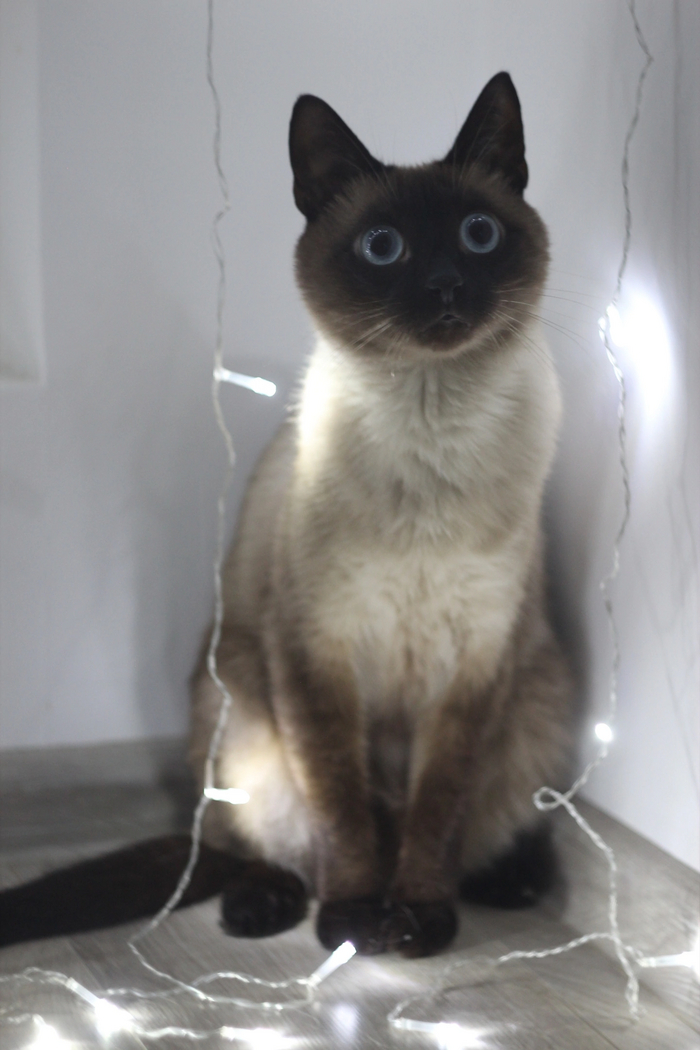    :    , , ,  , ,  ,  ,   , 