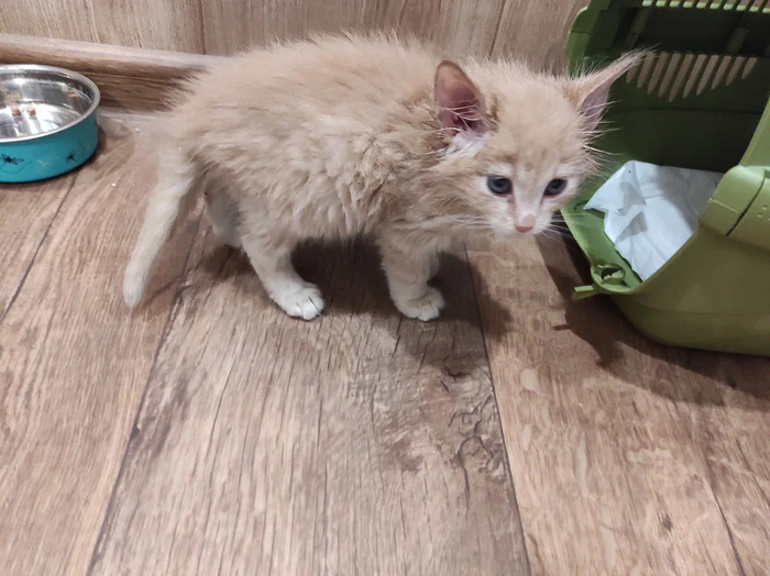    1,5   560 .   ,     .