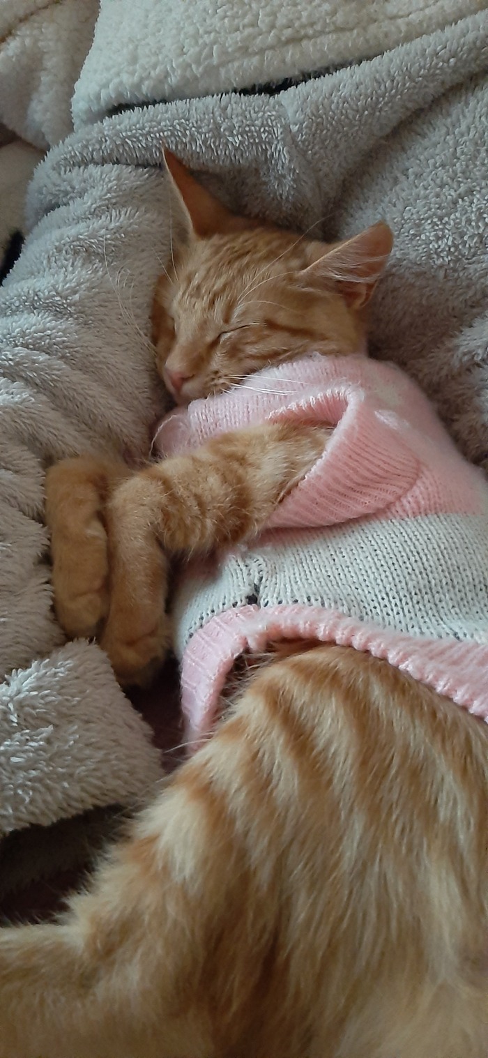 Тимофей Кусикович