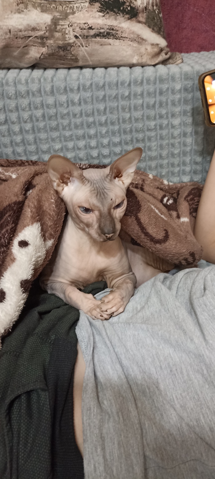 Патрик, 4 года.