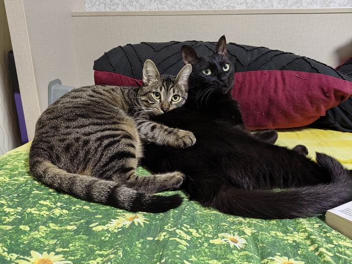 ����� �� ���� ��������: ������ ��� ������