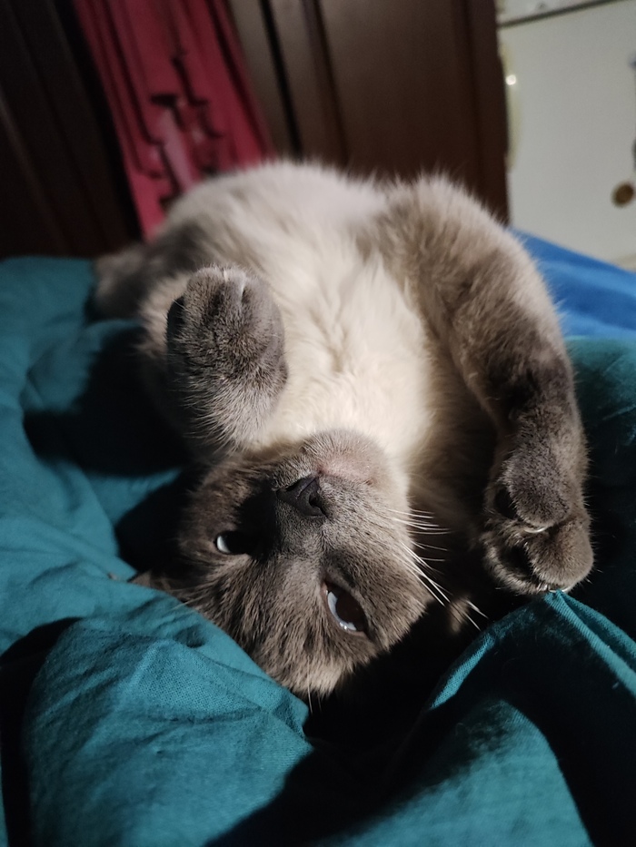    :    , , ,  , ,  ,   , 
