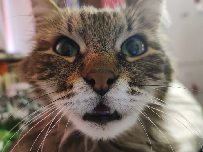    :    , , ,  , ,  ,   , 