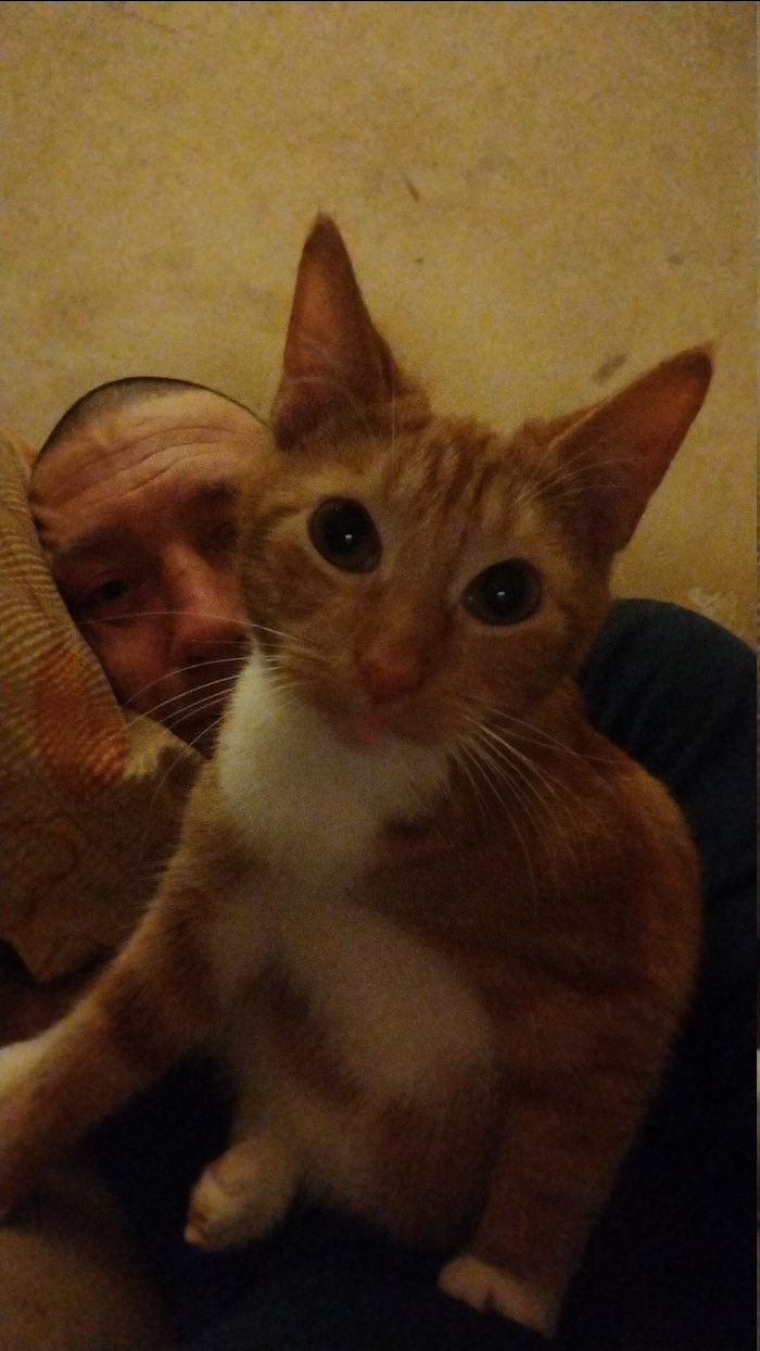 Конкурс? Але кожаный мешок вставать пора