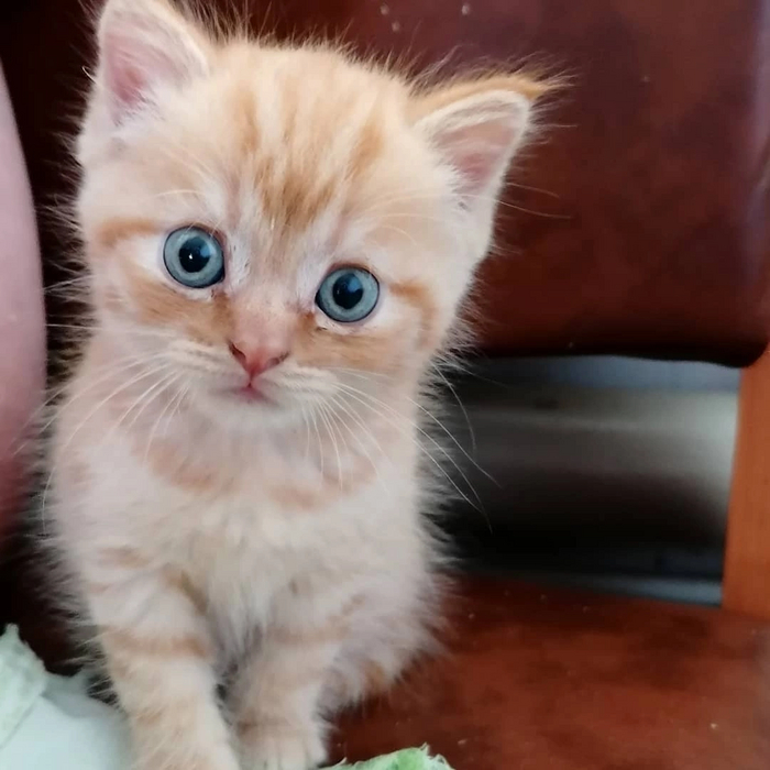 Смешной был