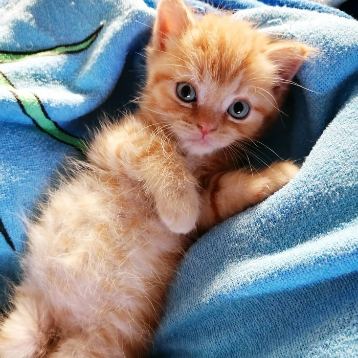 Вот такой малыш