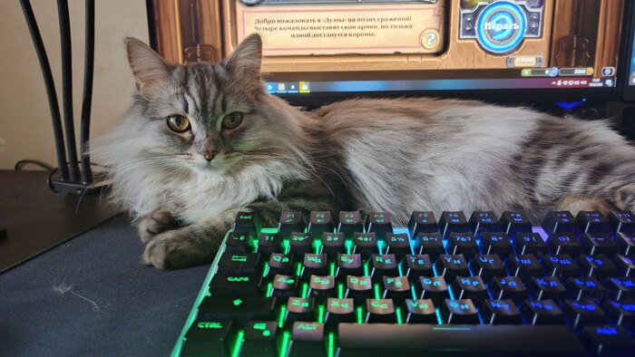 Афина 1 год и 2 месяца