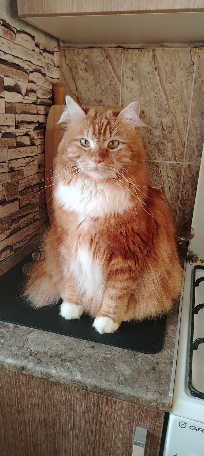 ����� �� ���� ��������: ������ ��� ������