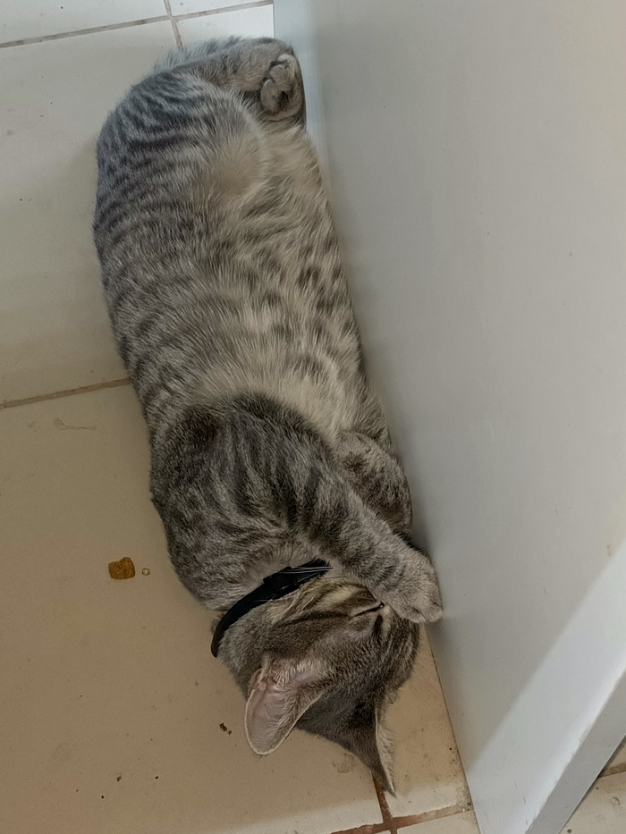    :    , , ,  , ,  ,   