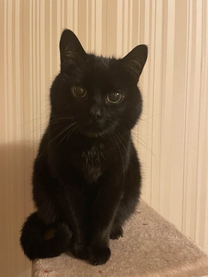 ����� �� ���� ��������: ������ ��� ������