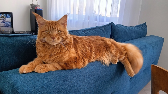 ����� �� ���� ��������: ������ ��� ������