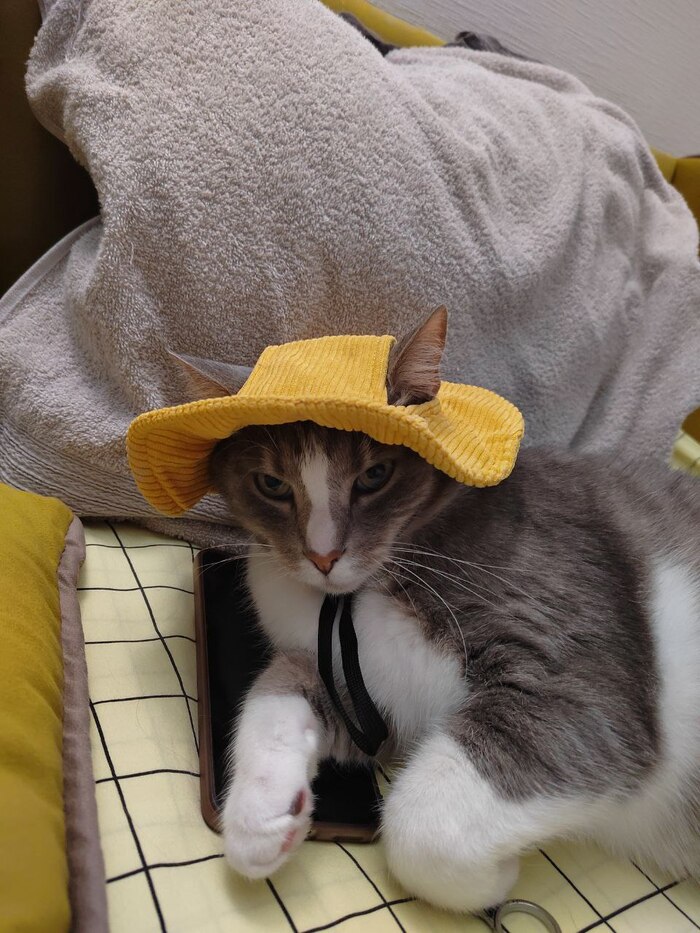 ����� �� ���� ��������: ������ ��� ������