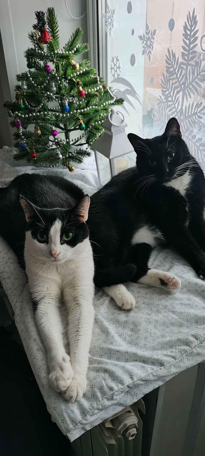 Ждут пока все спать лягут, чтобы начать тыгыдык