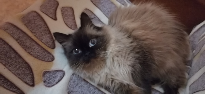 ����� �� ���� ��������: ������ ��� ������