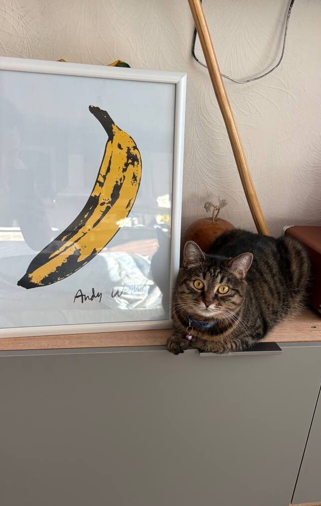    :    , , ,  , ,  ,   
