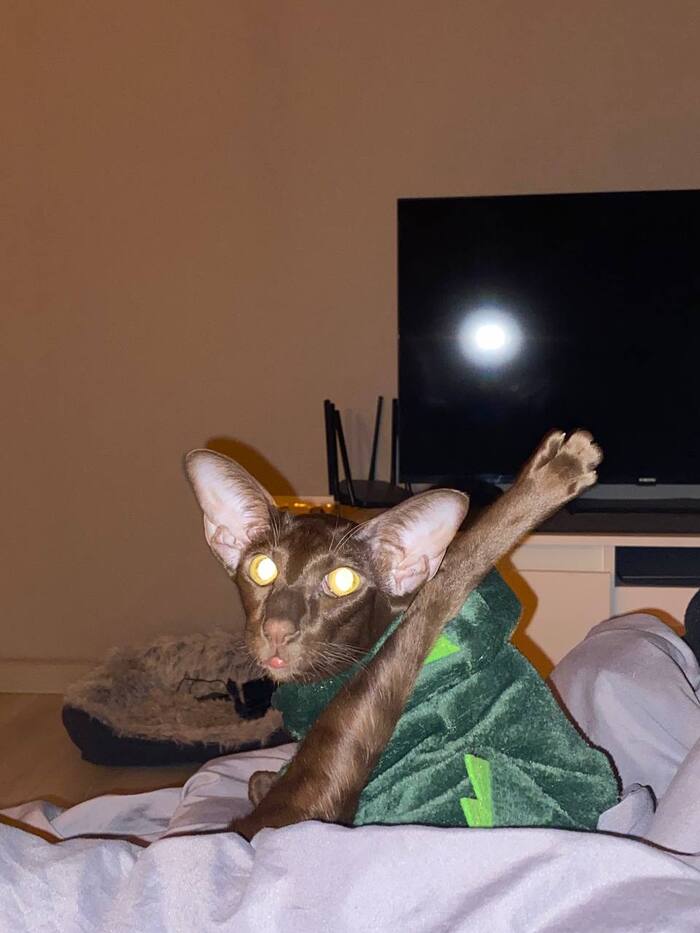 ���� �� ������