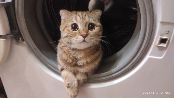    :    , , ,  , ,  ,   , 