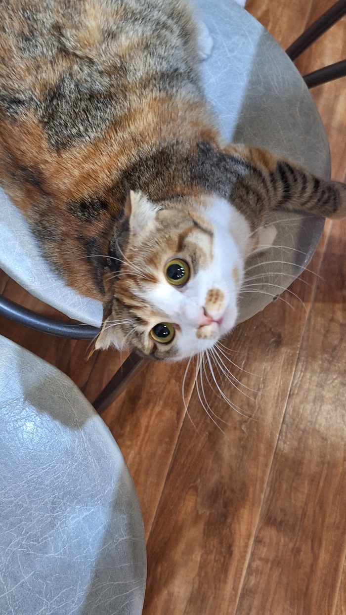    :    , , ,  , ,  ,   