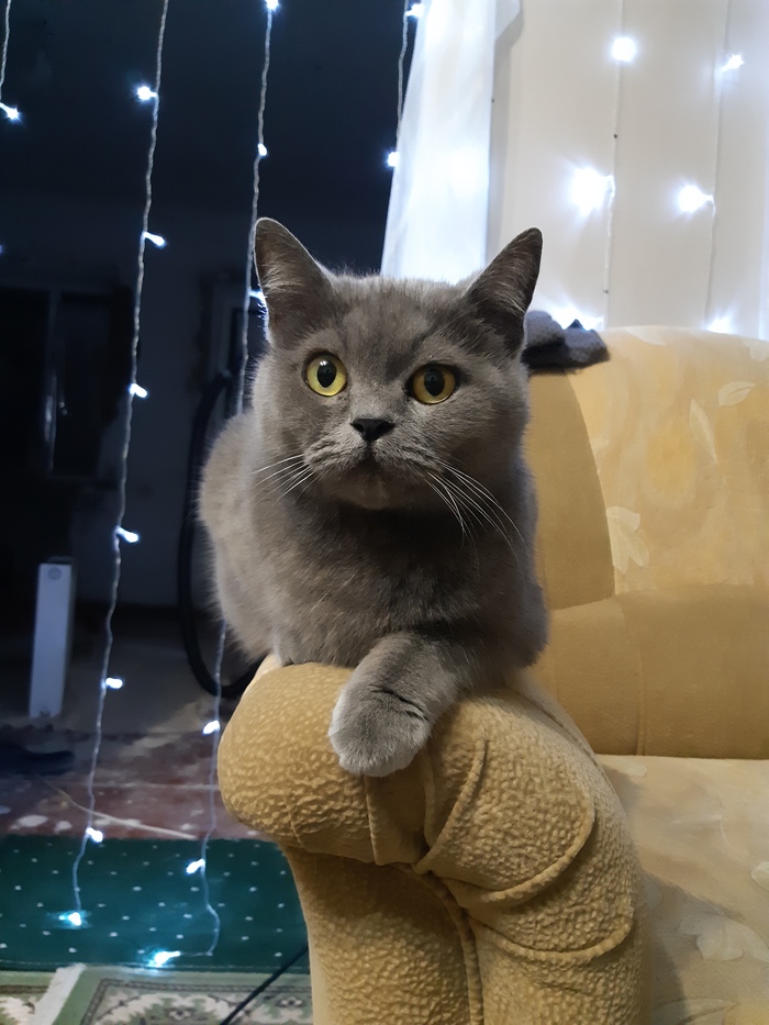    :    , , ,  , ,  ,   , 